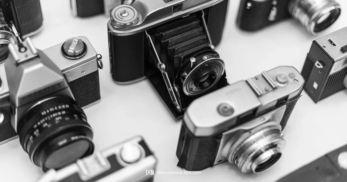 Rent Camera Tips - Best Camera Tips