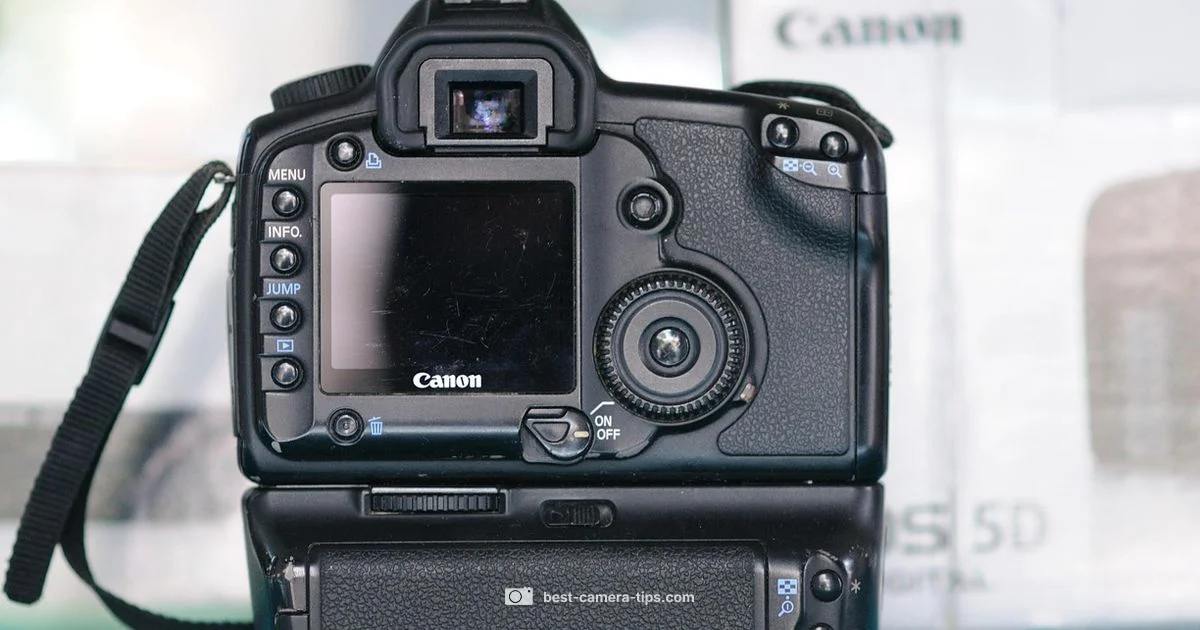 Storage for Camera Gear - Best Camera Tips