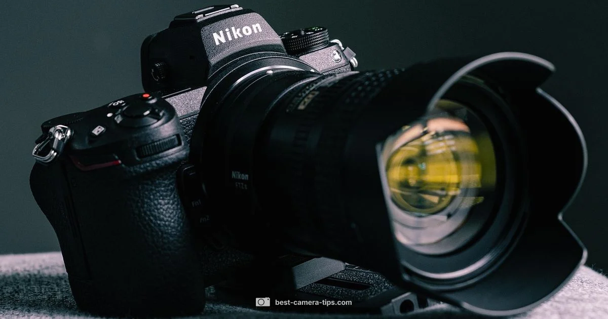 Nikon Mounts Deep Dive - Best Camera Tips