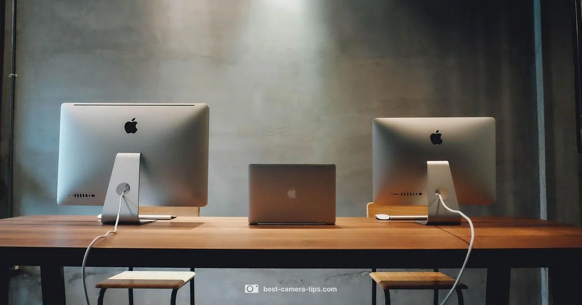 Teams Camera Check - Best Camera Tips