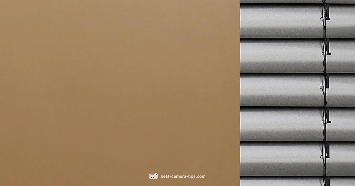 Privacy Shield - Best Camera Tips