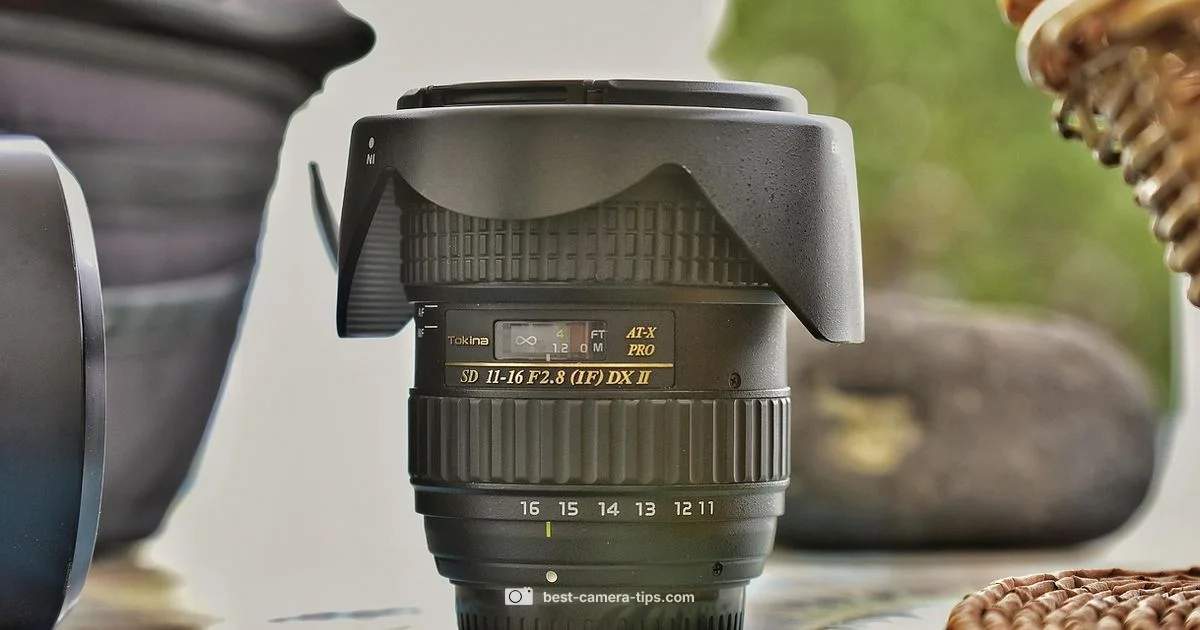 Cystoscopy Camera Size - Best Camera Tips