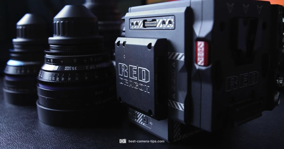 Camera Buyer's Guide - Best Camera Tips