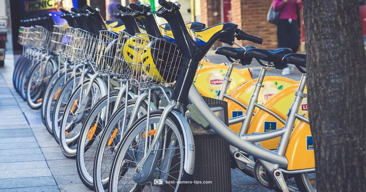 Local Gear Guide Local Gear Guide - Best Camera Tips