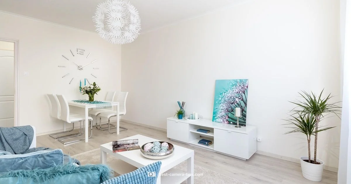 Nest Cameras Guide - Best Camera Tips