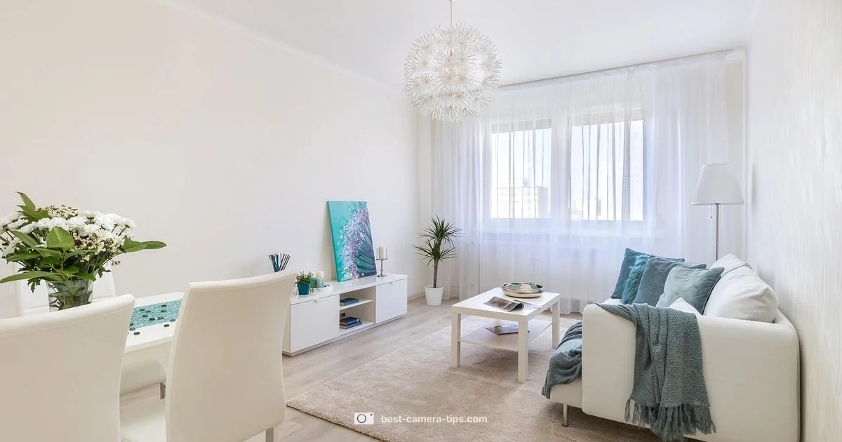 House Camera Guide - Best Camera Tips