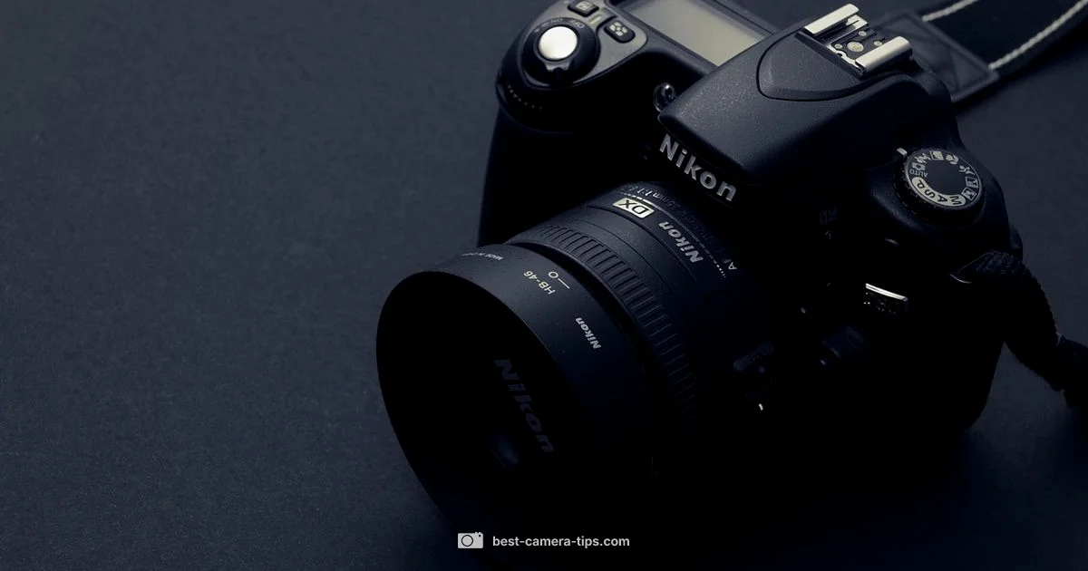 Blink Access Share - Best Camera Tips