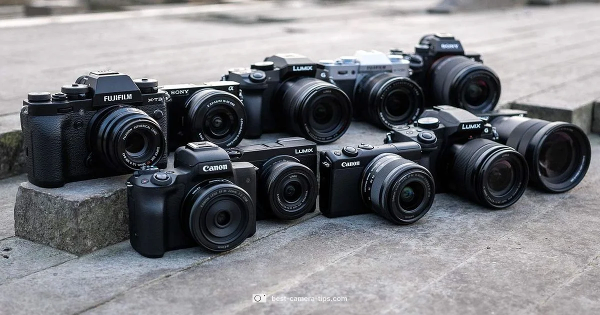 Flock Camera System Flock Camera System - Best Camera Tips