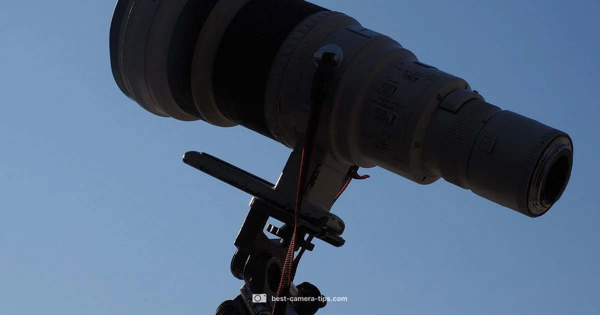 Renting a Thermal Camera Renting a Thermal Camera - Best Camera Tips