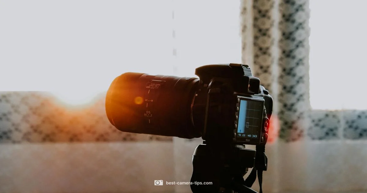 Remote Camera Guide - Best Camera Tips