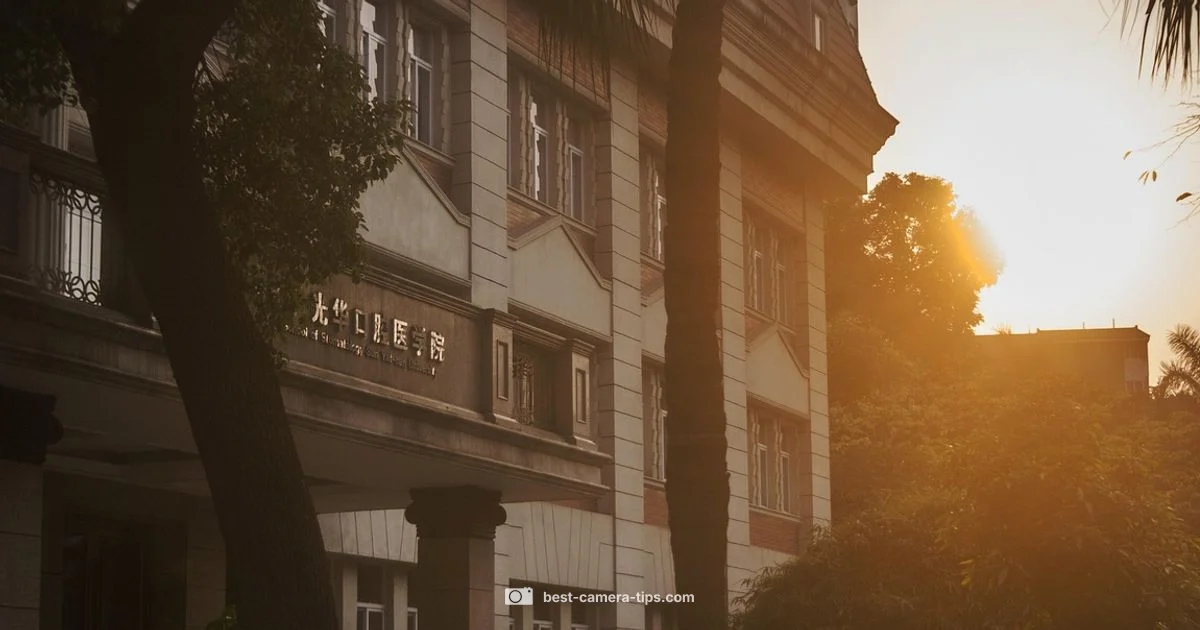 Zmodo Camera Setup - Best Camera Tips