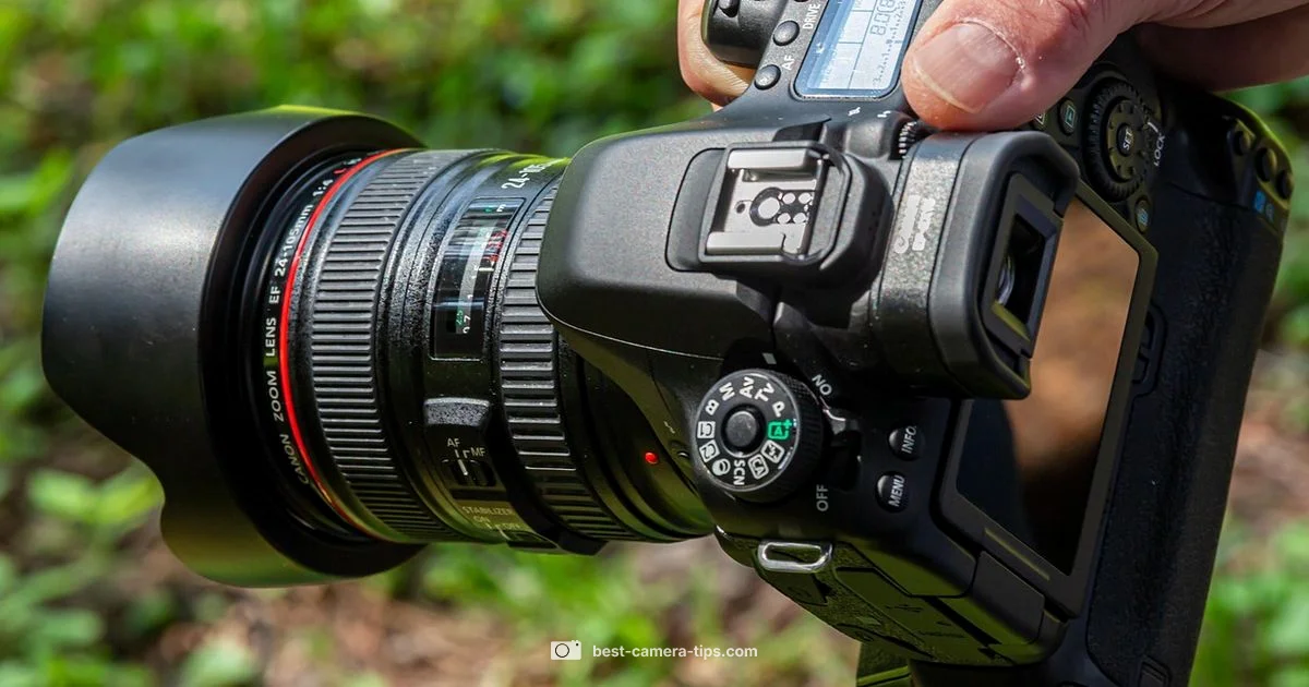 Ring Camera Security - Best Camera Tips