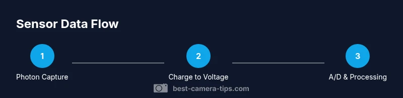 Infographic showing how a camera sensor converts light into digital data.