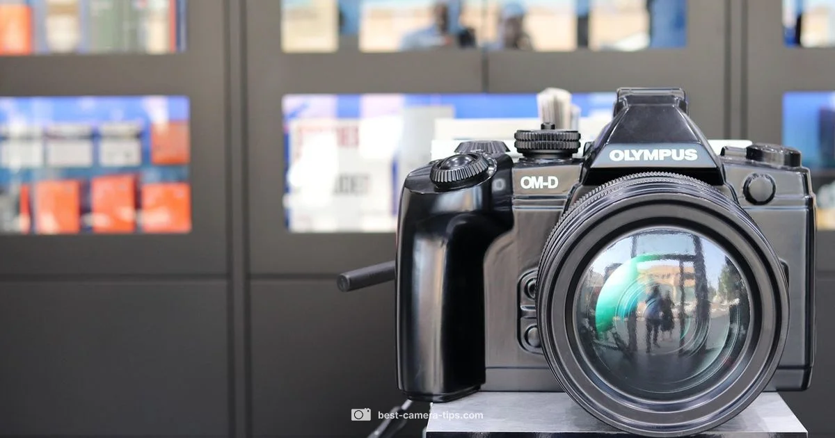 Camera Guide 2026 - Best Camera Tips