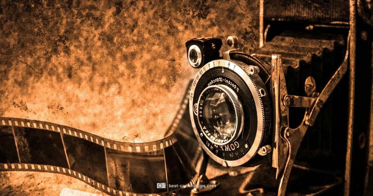 Film Camera Guide - Best Camera Tips