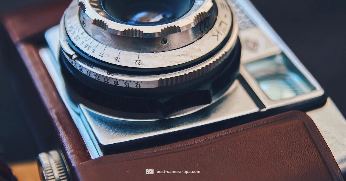 Lens Damage Guide - Best Camera Tips