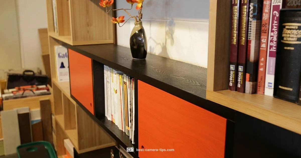 Subscription-Free Cameras - Best Camera Tips