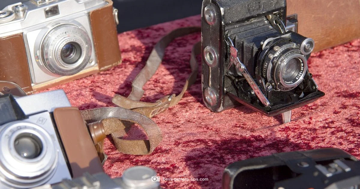 Used Camera Finds - Best Camera Tips