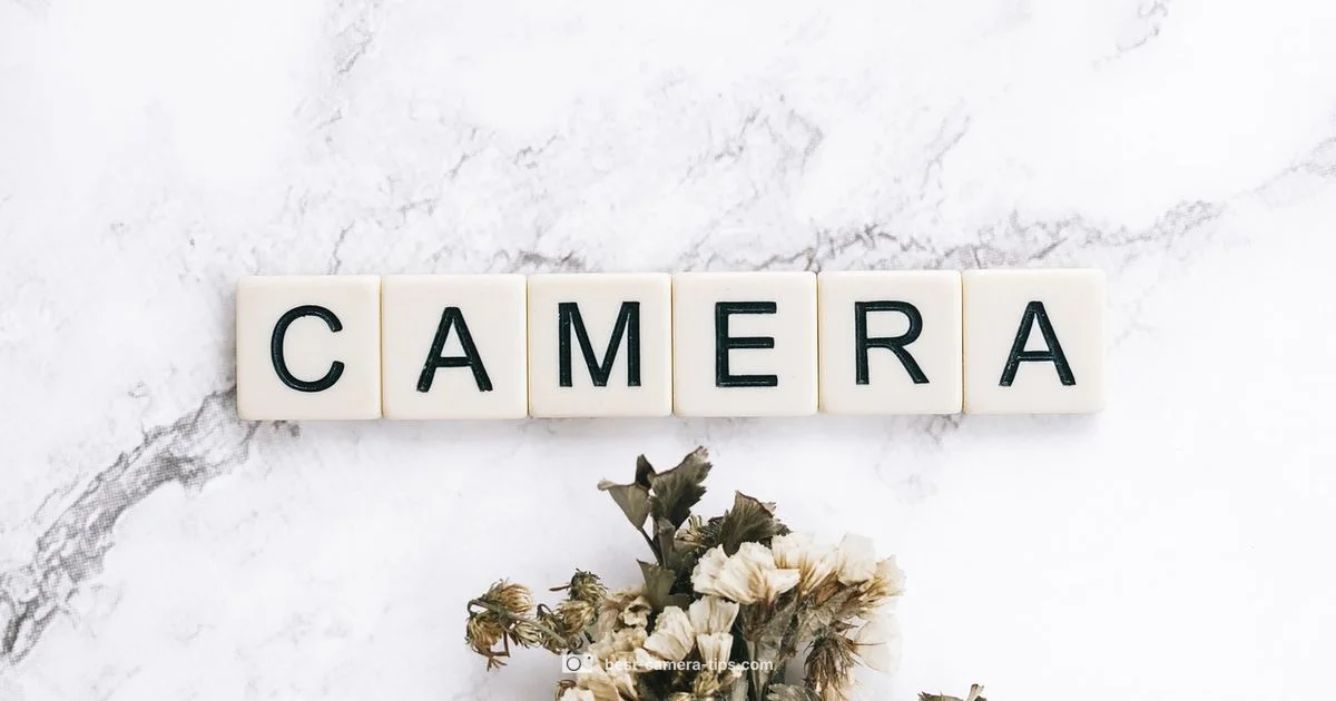 Beginner Camera Guide - Best Camera Tips