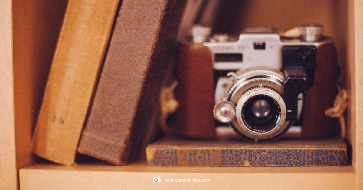 Reset Blink Camera - Best Camera Tips