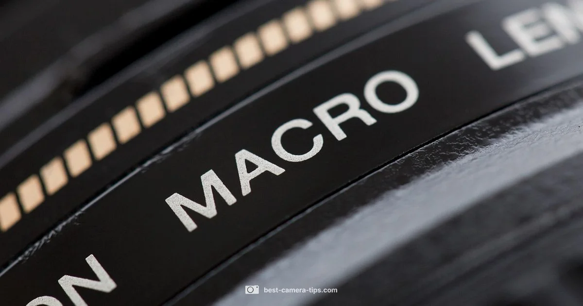 Best Photo Quality - Best Camera Tips