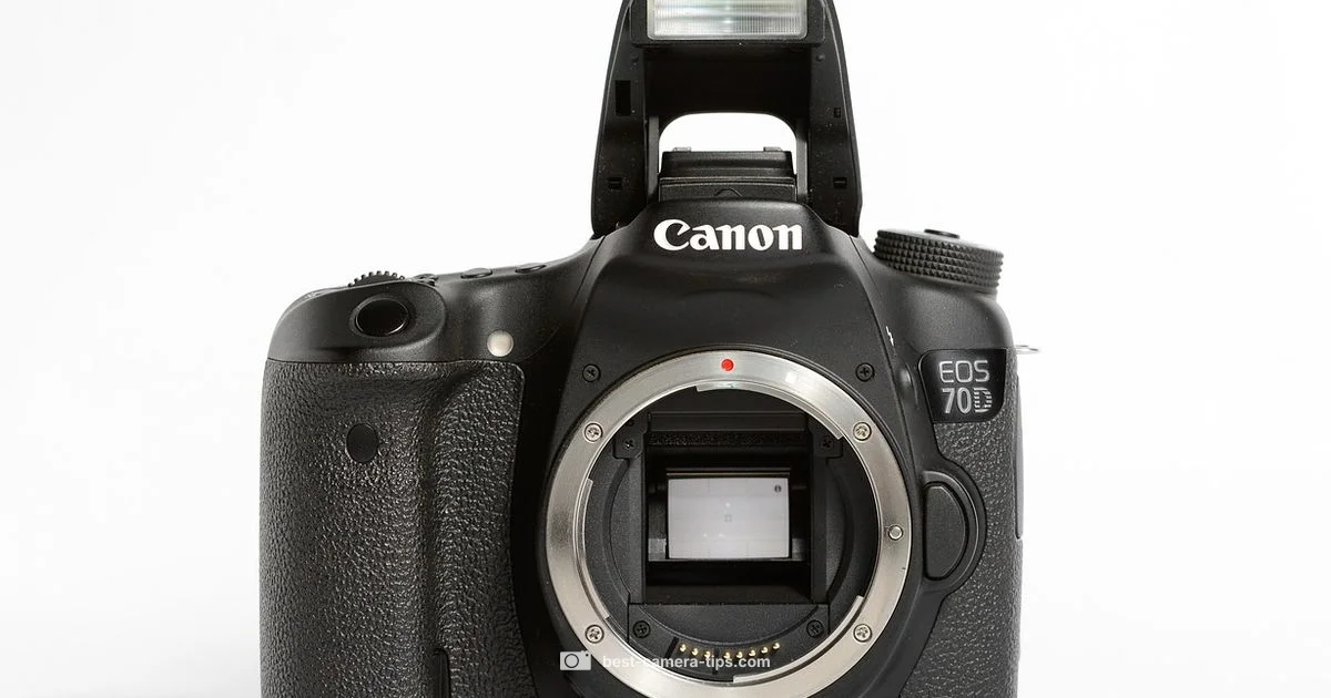 Shutter Count Guide - Best Camera Tips