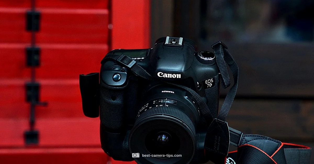 Used Camera Guide - Best Camera Tips