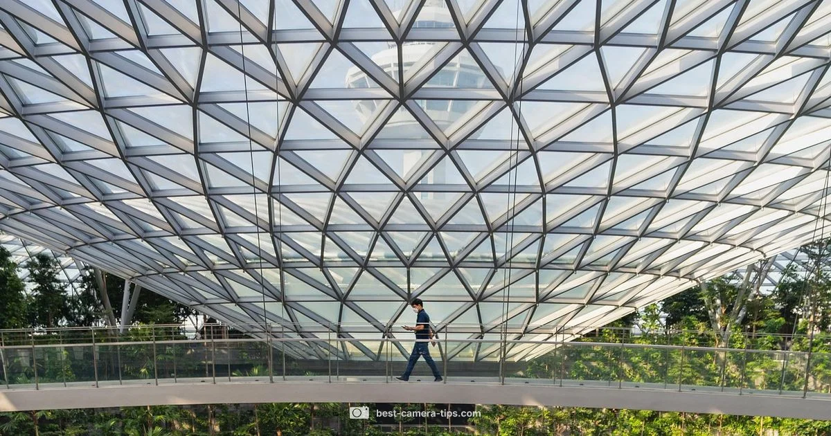 Singapore Camera Repair - Best Camera Tips