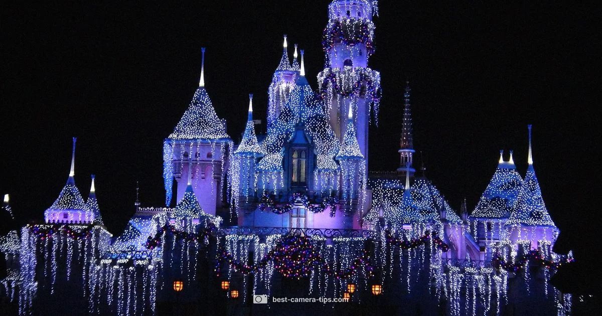 Disney Photo Tips - Best Camera Tips
