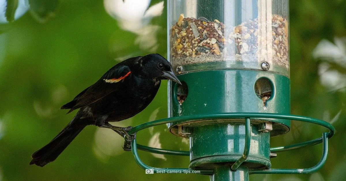 Camera Removal Guide - Best Camera Tips