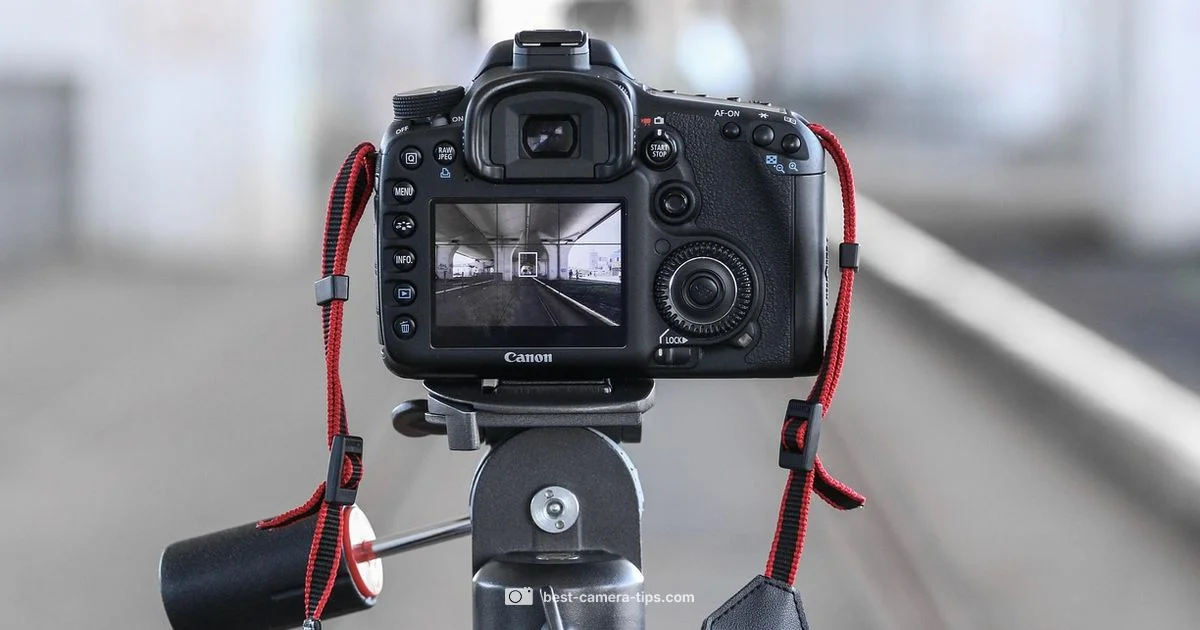 Camera as Input - Best Camera Tips