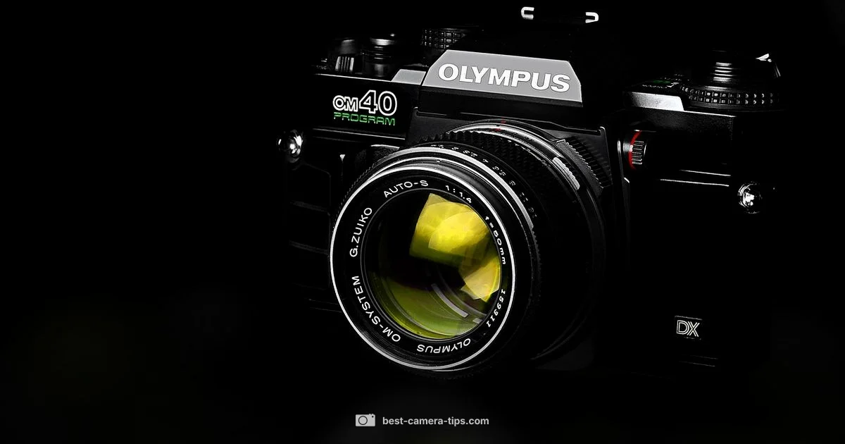 Camera Ham Defined - Best Camera Tips