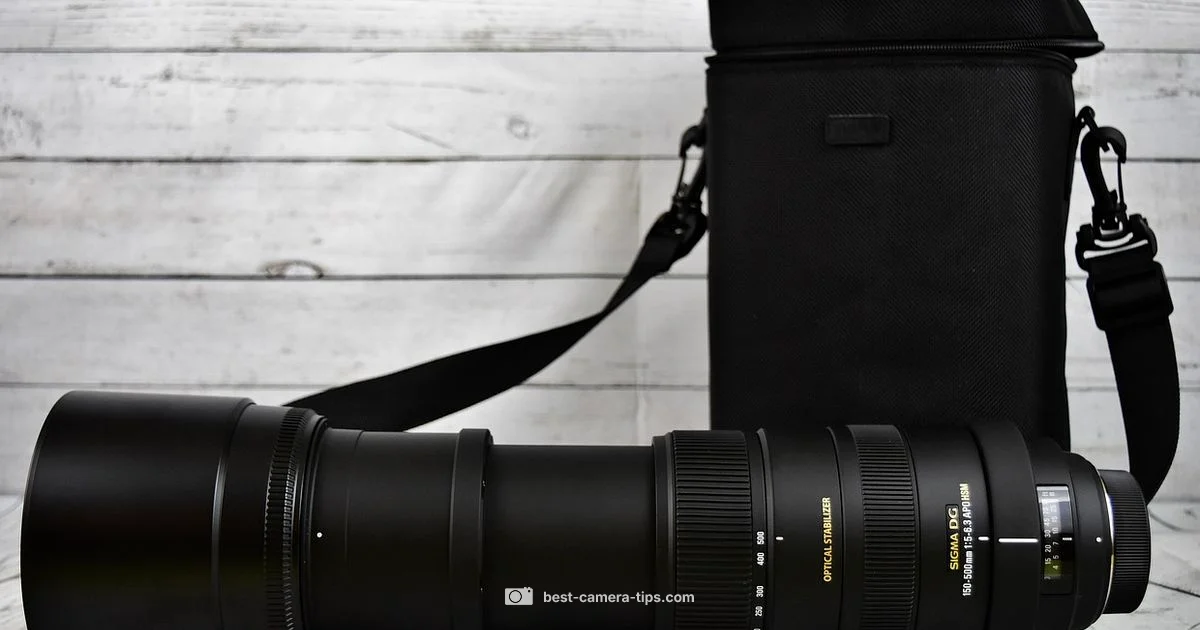 Zoom Accuracy Guide - Best Camera Tips