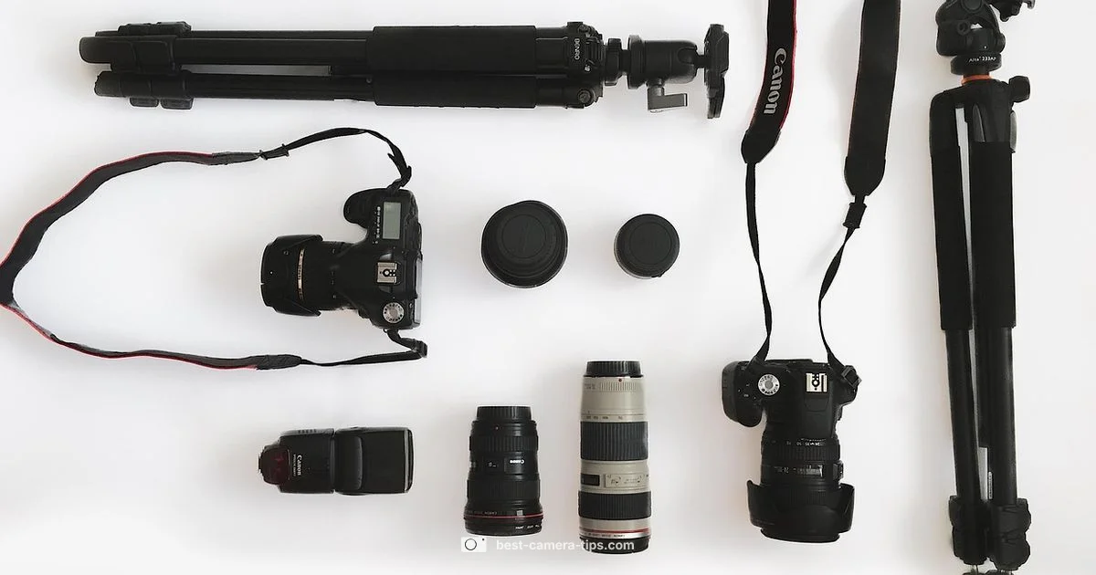 Top Camera Picks - Best Camera Tips