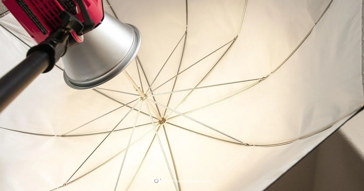 Flash & Migraine Safety - Best Camera Tips