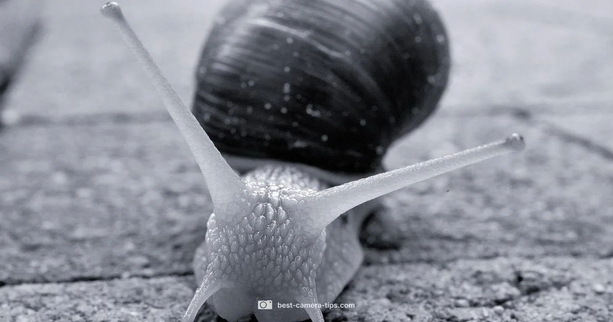 Sensor Anatomy Sensor Anatomy - Best Camera Tips