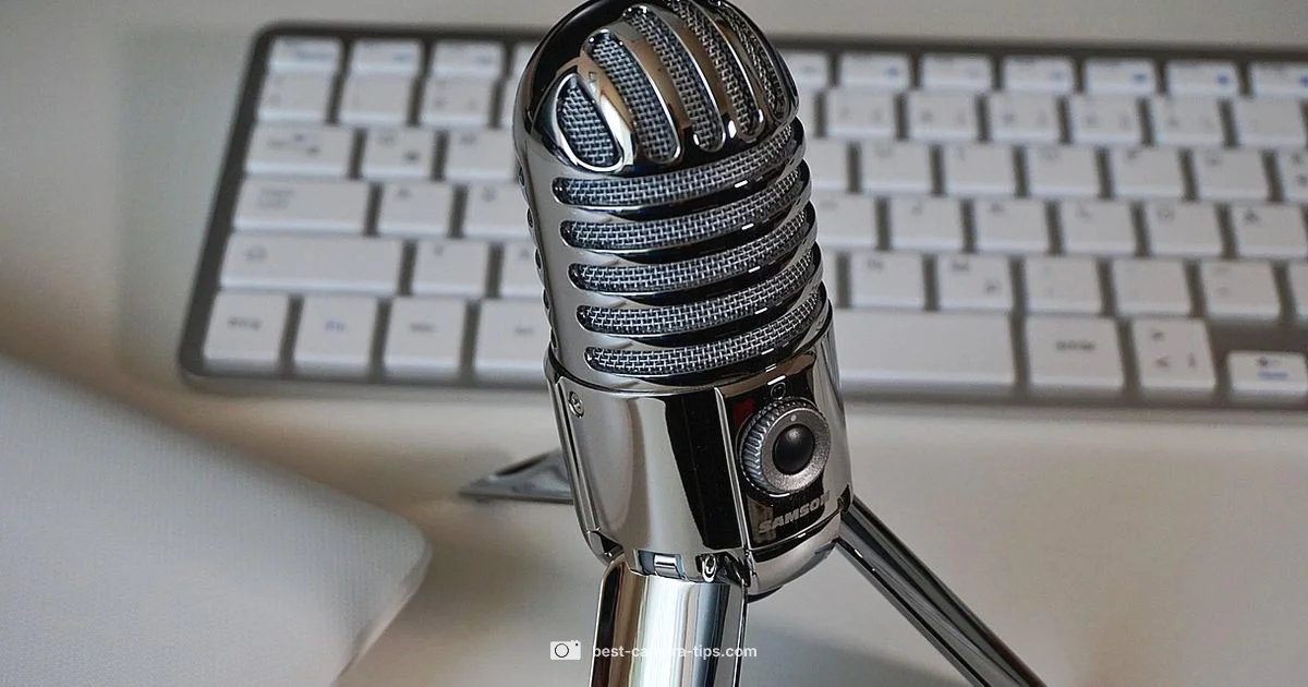 Webcam Mic Guide - Best Camera Tips