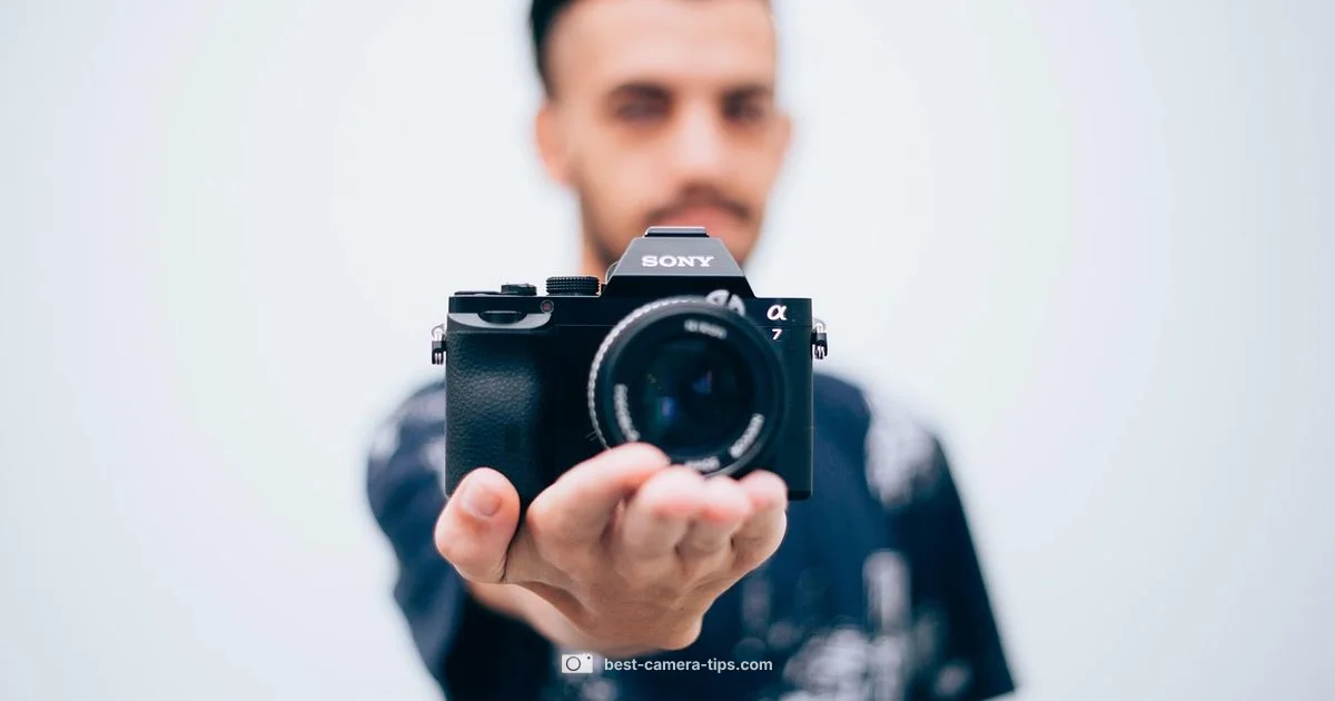 E Mount Guide - Best Camera Tips