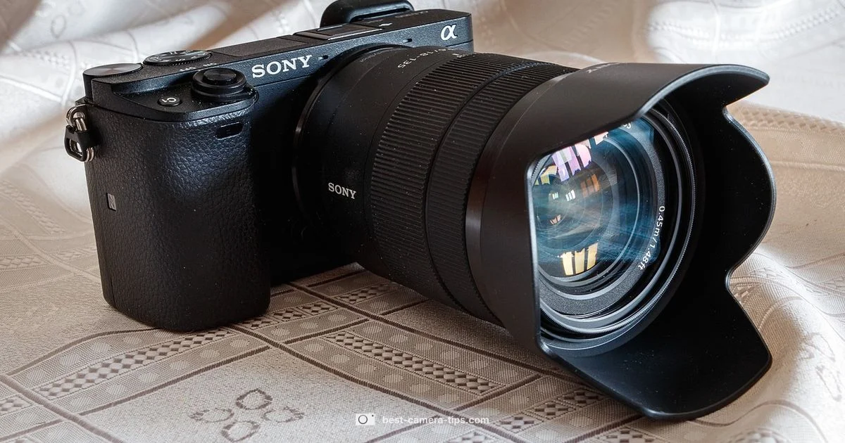 Mirrorless Usability - Best Camera Tips