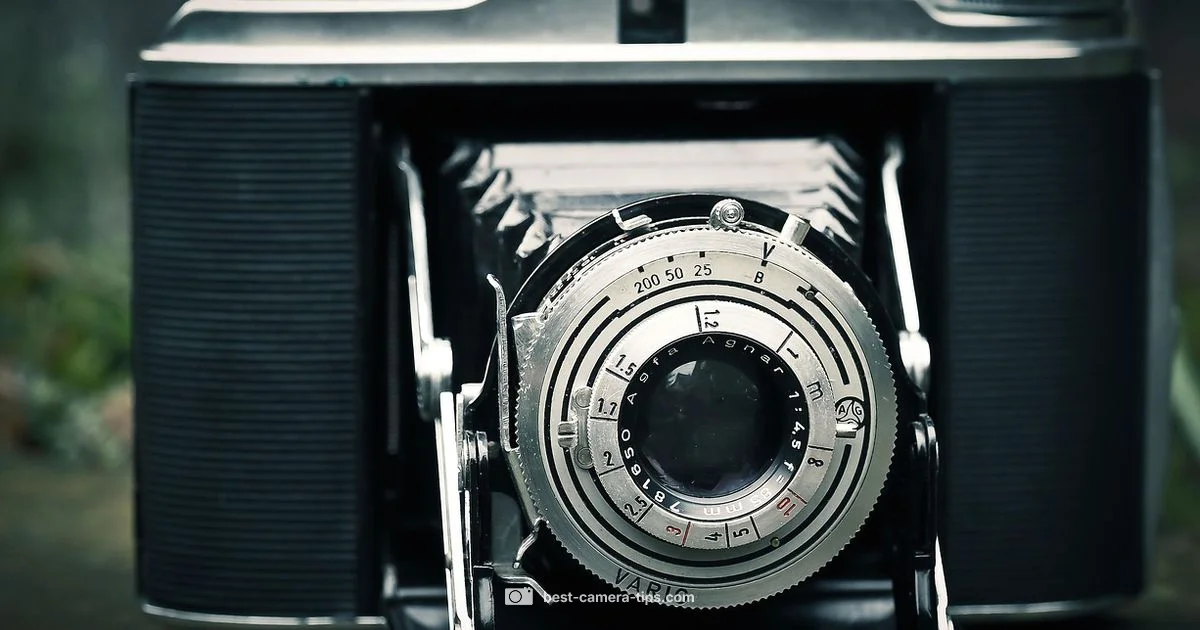 First Photo History - Best Camera Tips