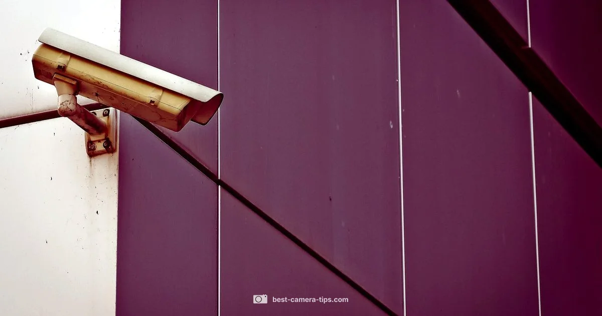 Offline Camera Guide - Best Camera Tips