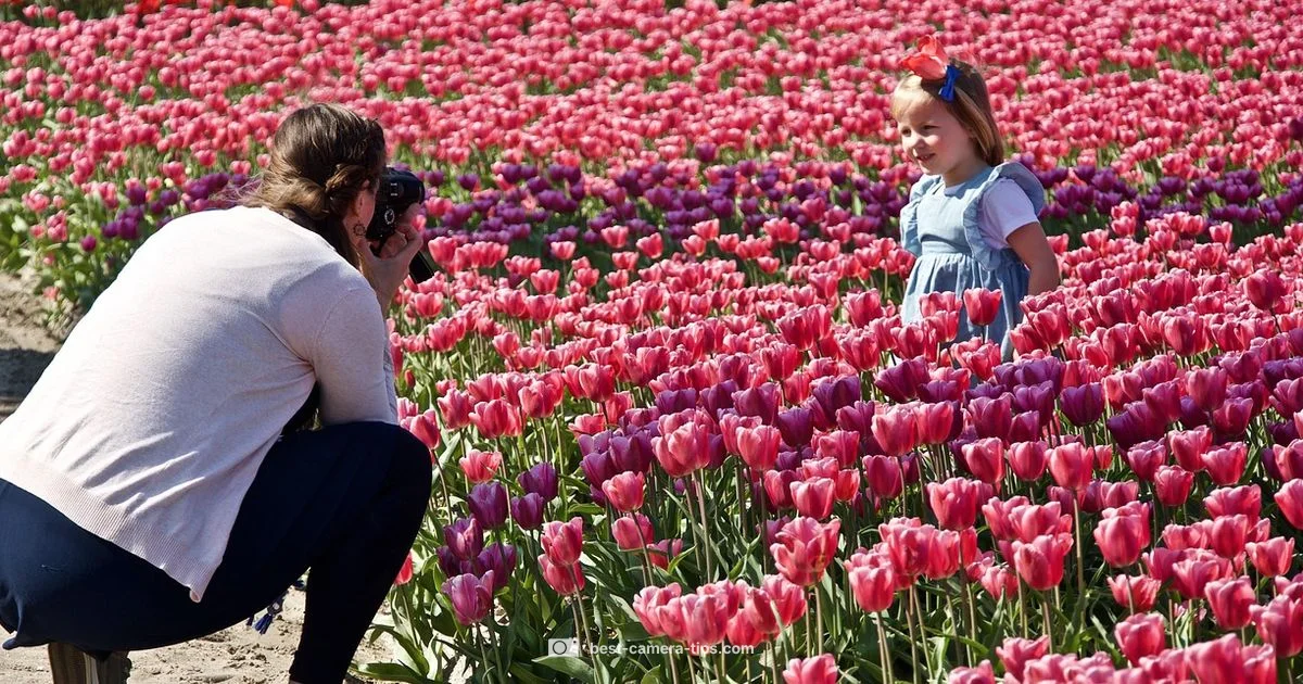 FC 26 Angle Guide - Best Camera Tips