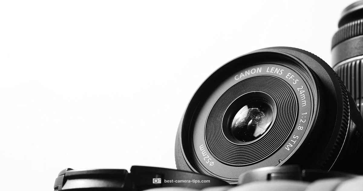 EVF Camera Guide - Best Camera Tips