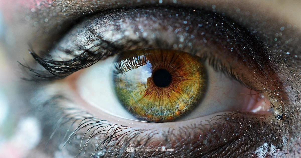 Eye Like Lens - Best Camera Tips
