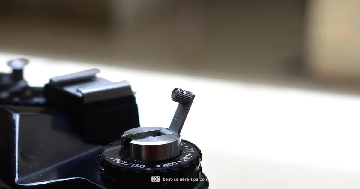 Camera Roll Essentials - Best Camera Tips