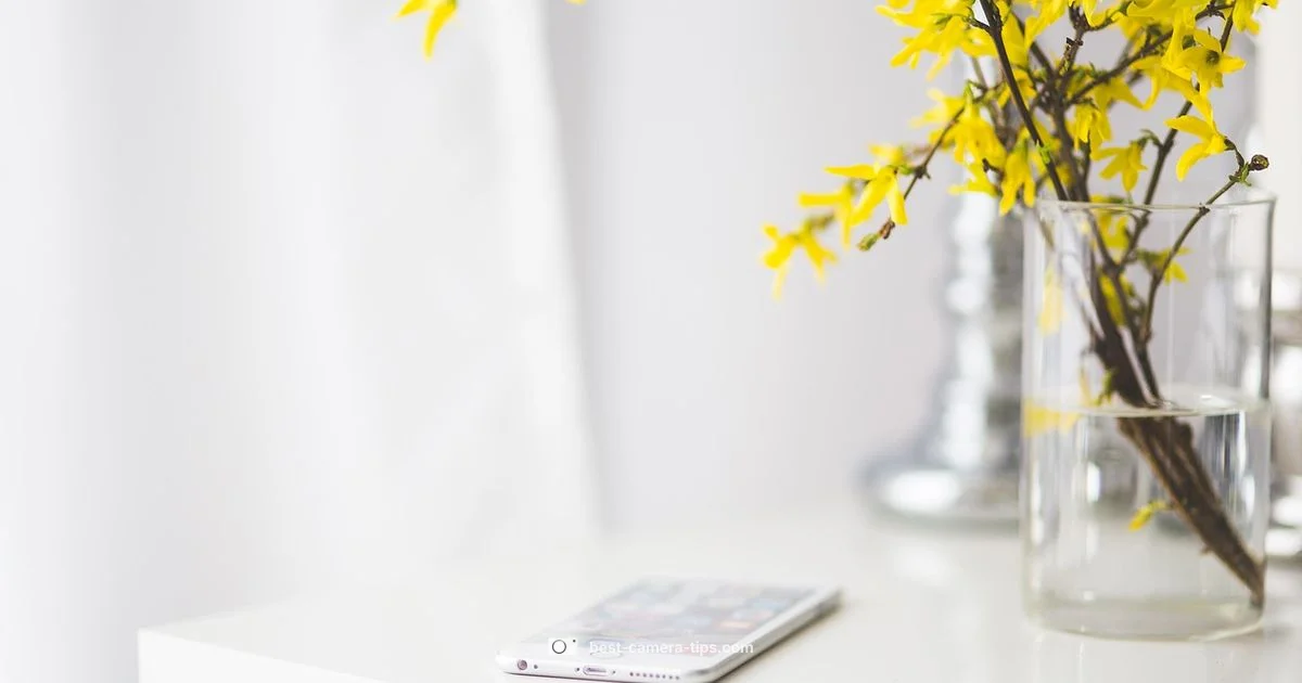 iPhone Air Camera Review - Best Camera Tips