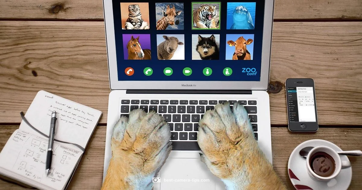 Zoom Camera Setup - Best Camera Tips