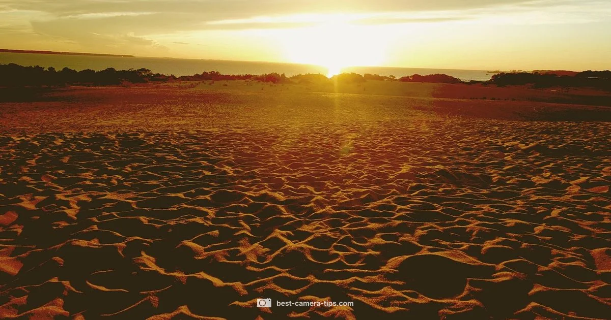 Coast Live Cam - Best Camera Tips