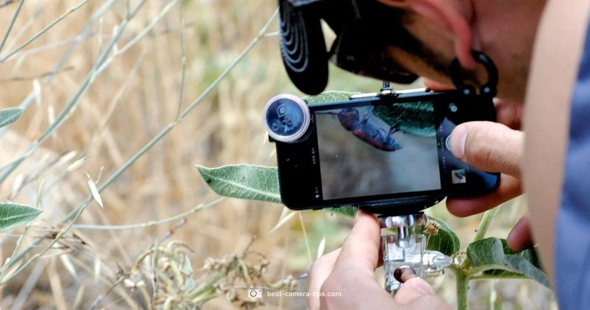 Sony Sensor Landscape - Best Camera Tips