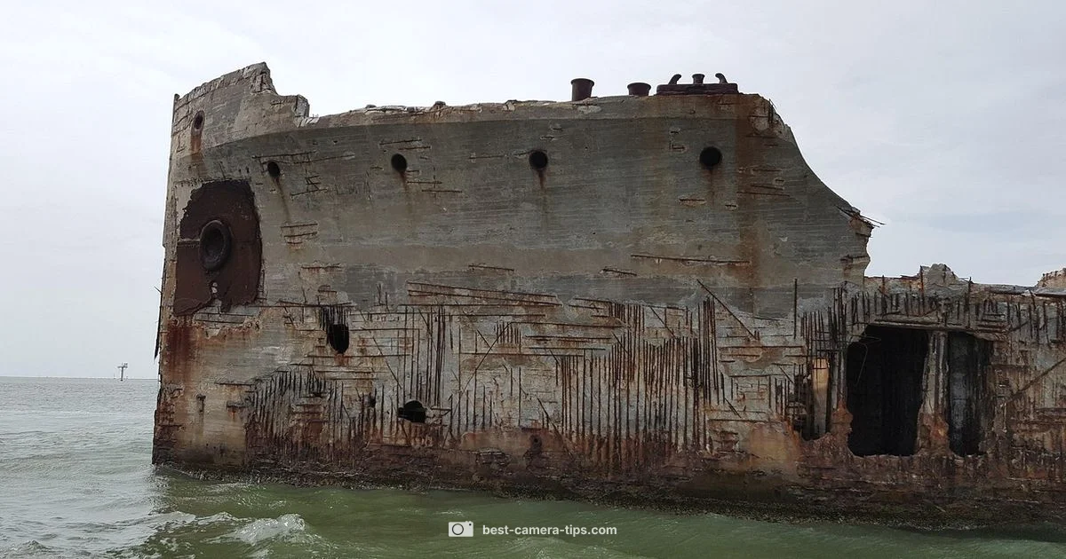 Galveston Live Feeds - Best Camera Tips